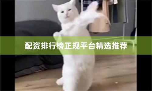配资排行榜正规平台精选推荐