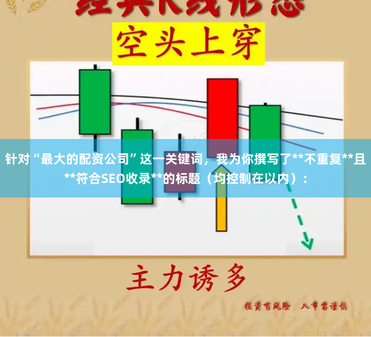 针对“最大的配资公司”这一关键词，我为你撰写了**不重复**且**符合SEO收录**的标题（均控制在以内）：